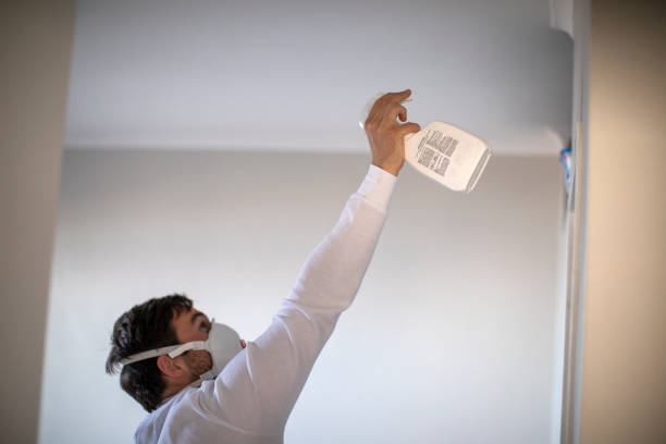 Best Attic Mold Remediation in Lely Resort, FL