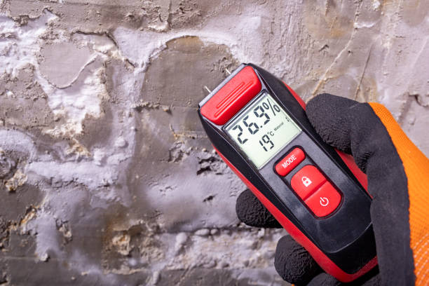 Best DIY Mold Remediation Support Services in Lely Resort, FL